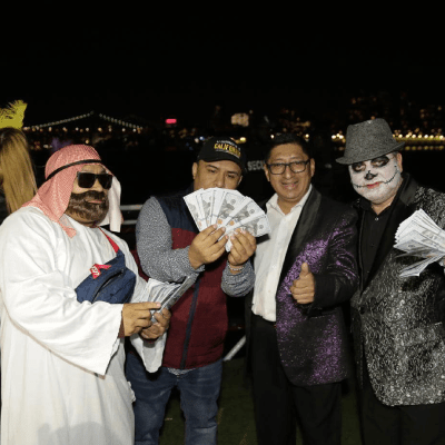 CRUISE SHOWS